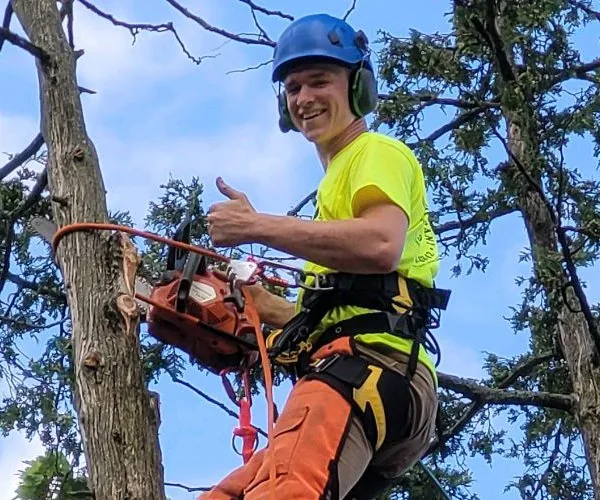 Joel Thompson of Kingdom Tree Company working from a climbing line during a tree removal